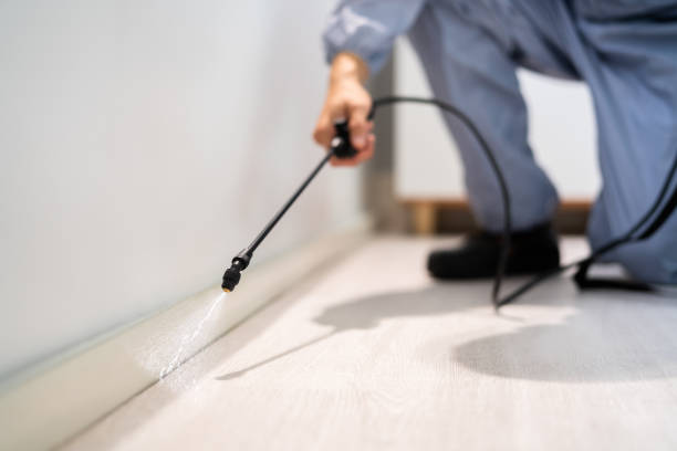 Licensed Fumigation Services service in De Soto, IL - Nex Pest Control