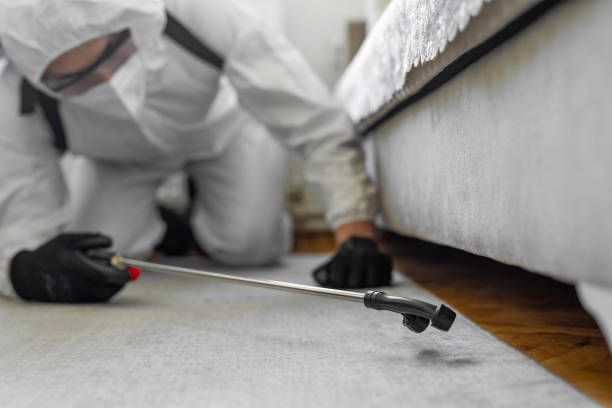 Professional Fumigation Services technician working in De Soto, IL