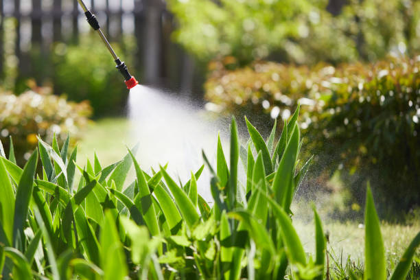 24/7 Emergency Fumigation Services experts in De Soto, IL