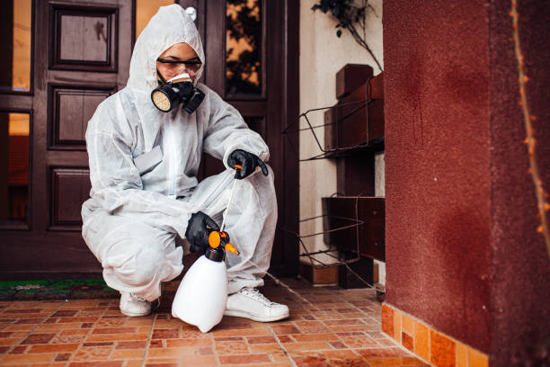 Reliable Fumigation Services contractor in De Soto, IL by Nex Pest Control