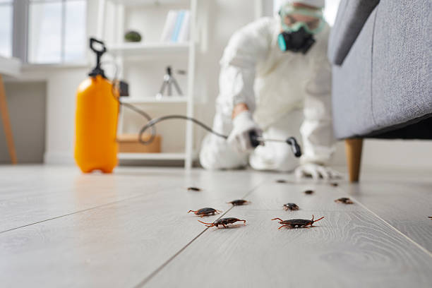 Trusted Mosquito Control service in De Soto, IL - Nex Pest Control